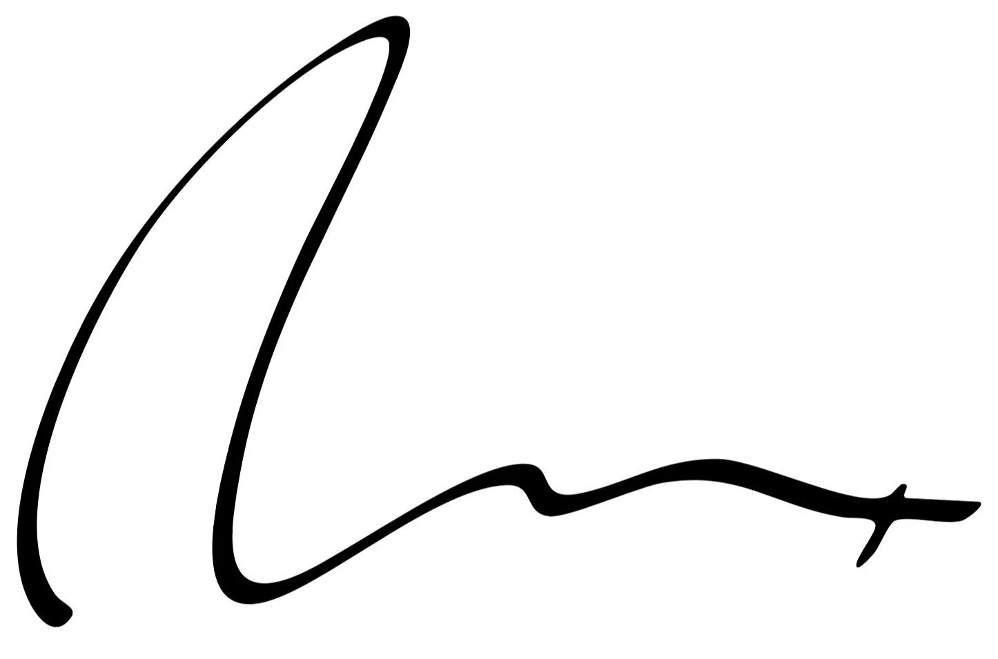 Max Isakov Architecture